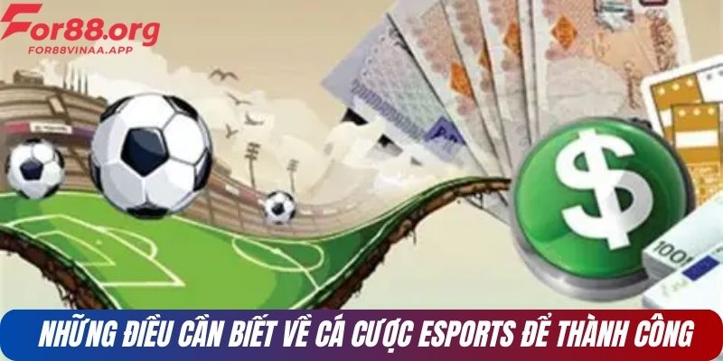 Những điều cần biết về cá cược esports để thành công