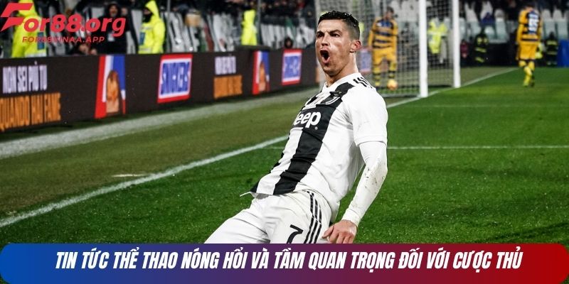 Tin tức thể thao nóng hổi và tầm quan trọng đối với cược thủ
